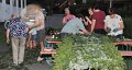 Binden am Donnerstag 096